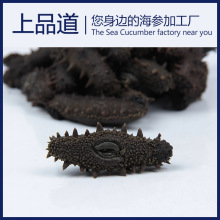 【海参工厂】半干海参批发拉缸盐辽刺参非干货辽宁大连海参