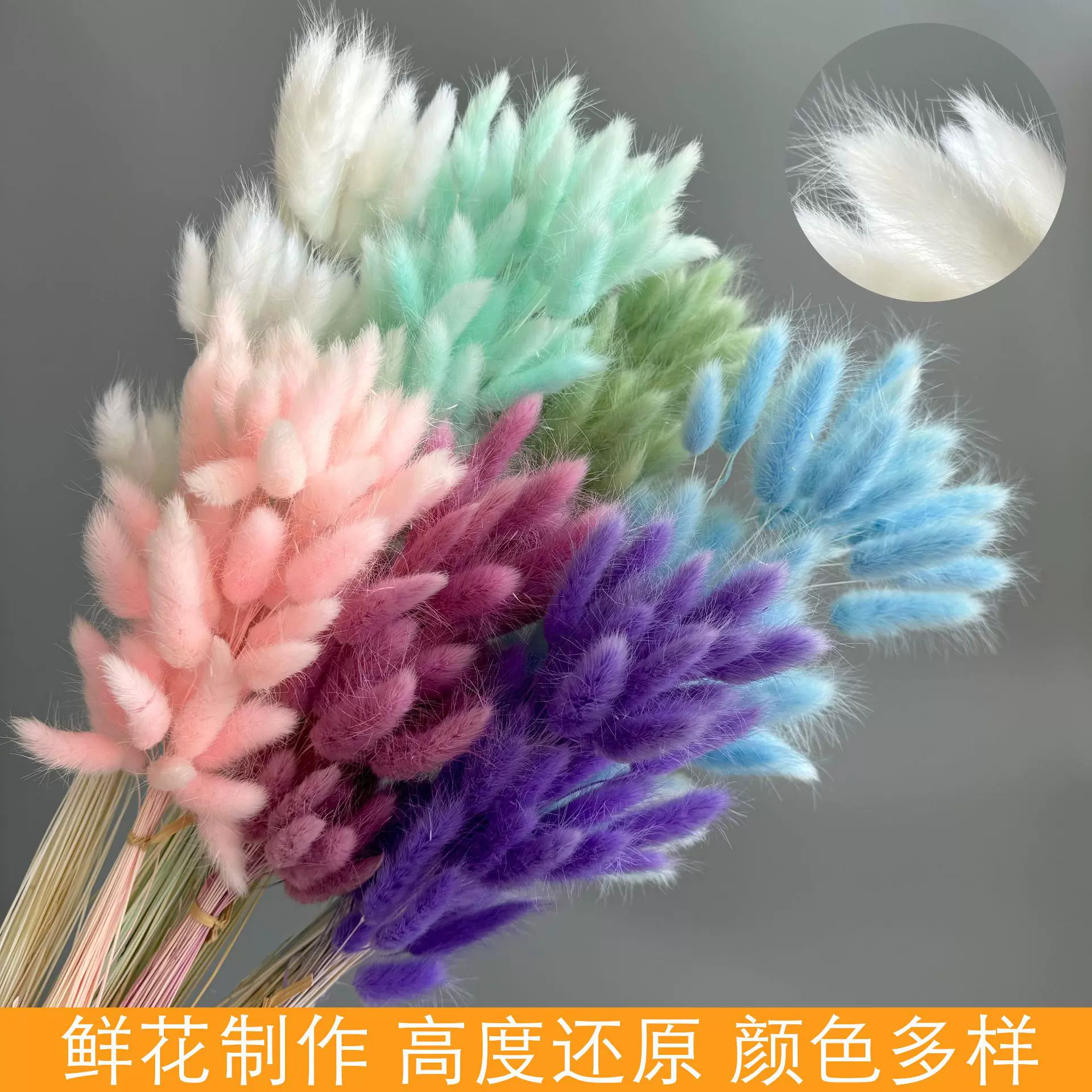兔尾草干花狗尾巴花束ins风家居装饰diy拍摄道具材料云南跨境批发