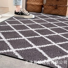 亞馬遜熱銷入戶門墊客廳防滑耐臟耐磨地墊酒店民宿裝飾地毯現貨