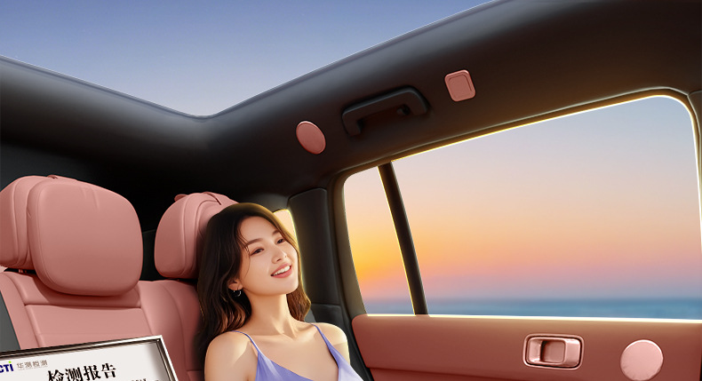 Suitable for Haobo Hl Floor Mats, Fully Enclosed 2025 Car Carpet Modification Interior Accessories, Trunk Mat Supplies