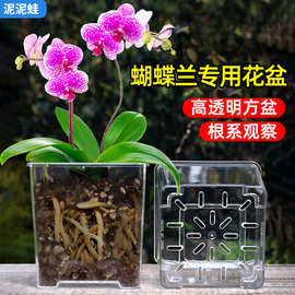 亚克力玻璃方形透明花盆塑料种植盆向日葵蝴蝶兰专用花盆家用套盆