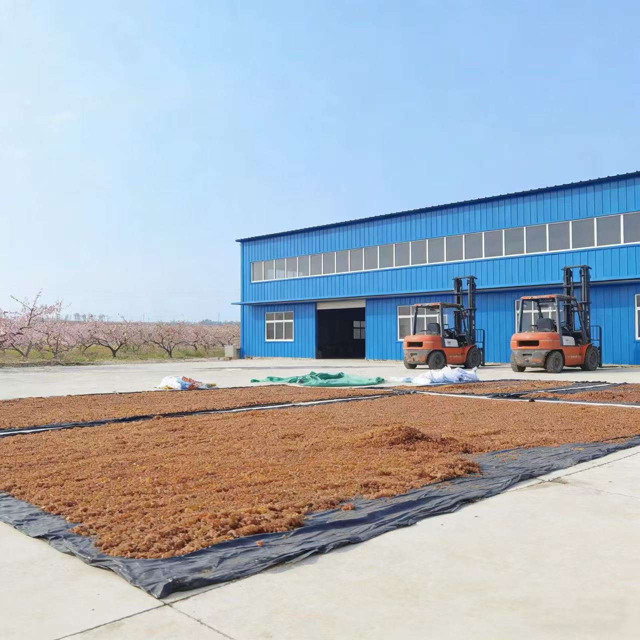 ピーチガム 業務用デザート ミルクティー 砂糖水工場 発泡食品原料 さまざまな仕様で安定した生産量