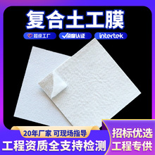 人工湖防渗土工布水产养殖一两布一膜河道治理垃圾填埋复合土工膜