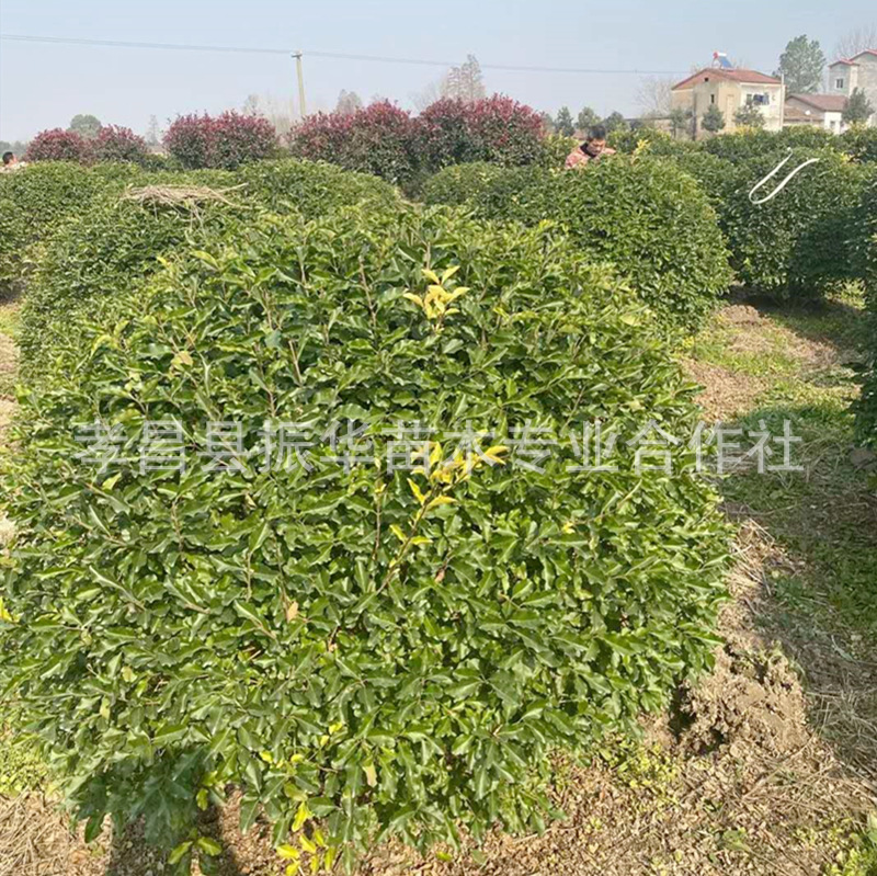 eed953ef9f2329899f2c0d76f75c07