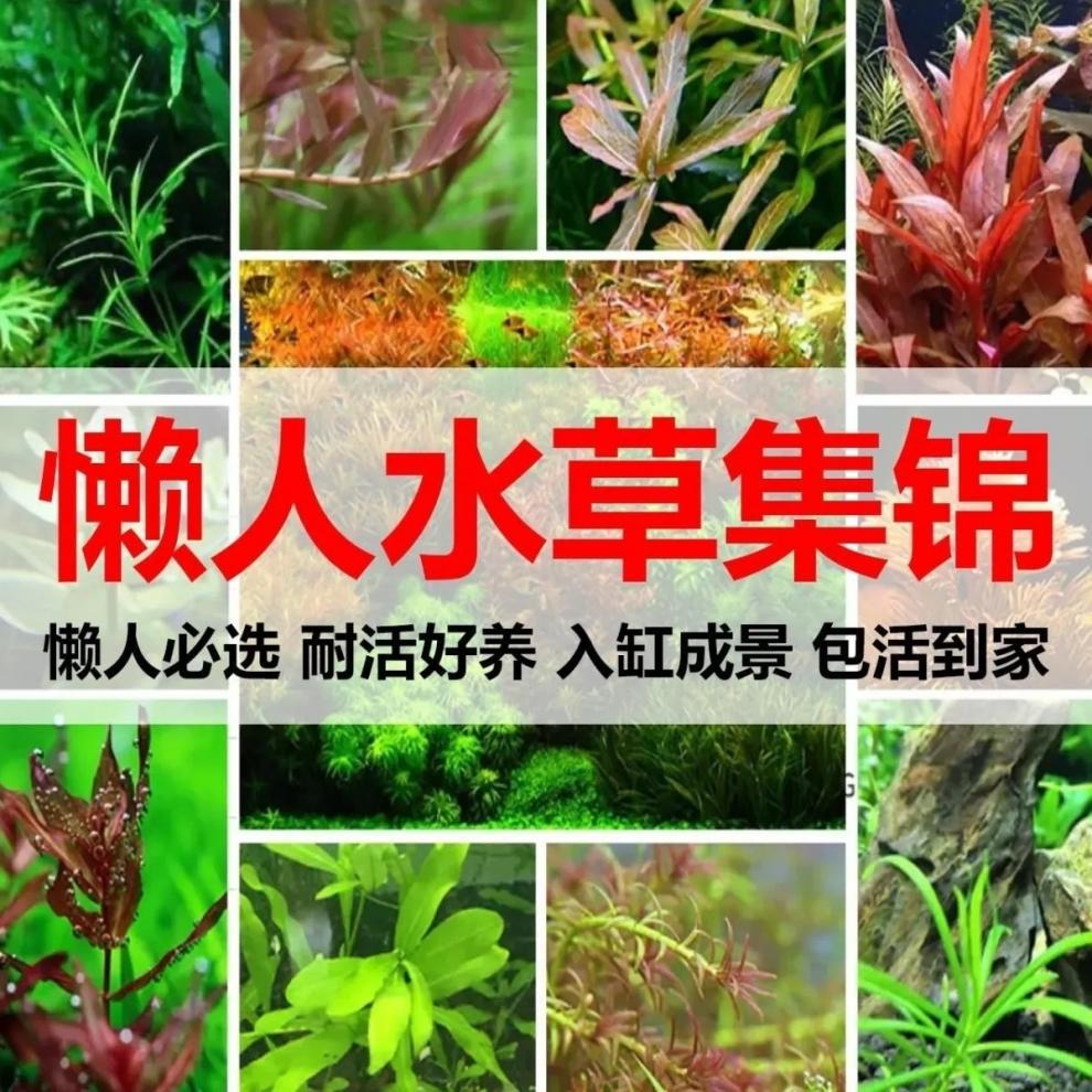 dca11da4-b316-40f5-8ec6-8c6ee30d5a20.jpe