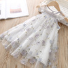 Summer lace dress, girl's skirt, small princess costume, Korean style, with embroidery, tulle, western style
