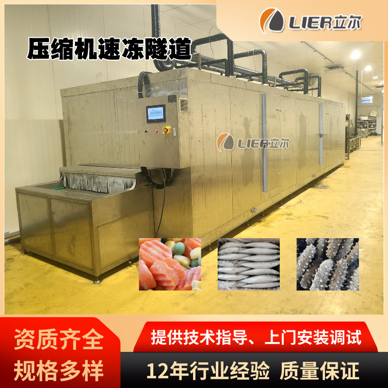 商用大型低温速冻机隧道式果蔬冬眠锁鲜速冻线 果蔬菜单体速冻机