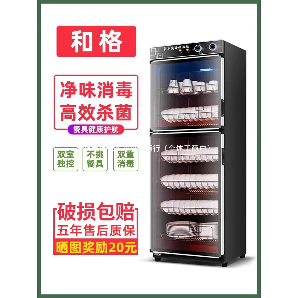 Hege Commercial Large-Capacity Stainless Steel Disinfection Cabinet for Restaurants and Kitchens, Household Vertical Dishwashing Cabinet