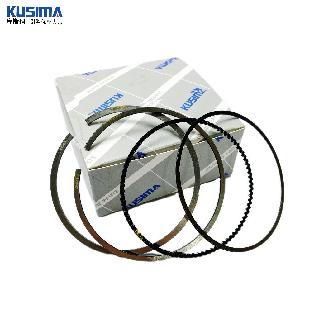 Piston Rings Are Suitable for Bmw Mini N47 B48 M62 N55 N54 S63 N63 B38 N57