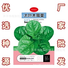 ~ľ˷Nӡ6ˡļN~ľˏS߲˷Nl