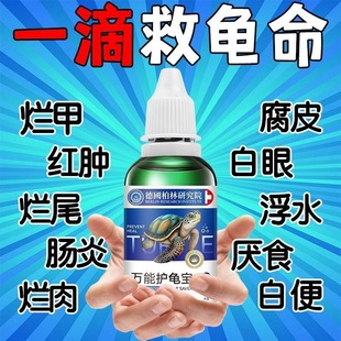 Specialized Turtle Care Solution for Crocodiles, Brazilian Turtles, Grass Turtles, and Tortoises in Berlin, Germany