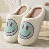 Demi-season slippers for beloved, home cute cartoon non-slip footwear platform indoor, Korean style