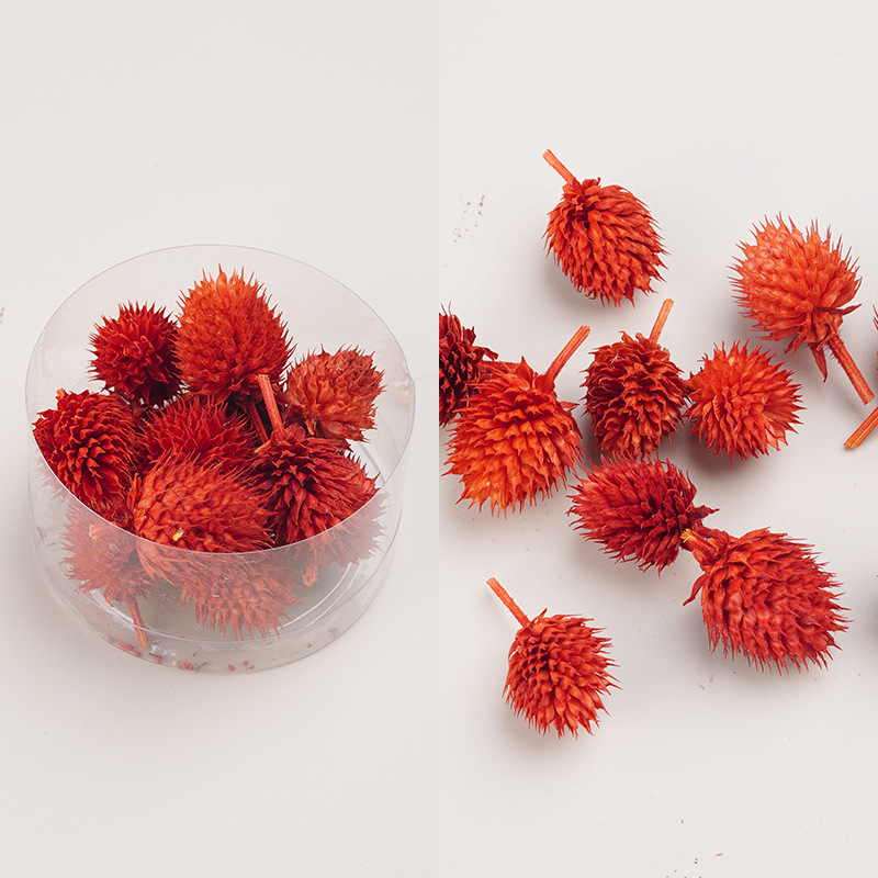 天然アロマキャンドル乾燥果花材クリスマス花輪diy乾燥花材植物標本装飾画松果|undefined