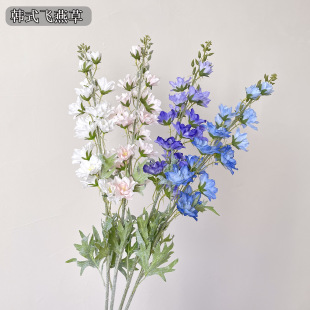 �¿�3���w��� ���^����С�w�� �����ɚ⻨�Ĵ���С�������_�m��