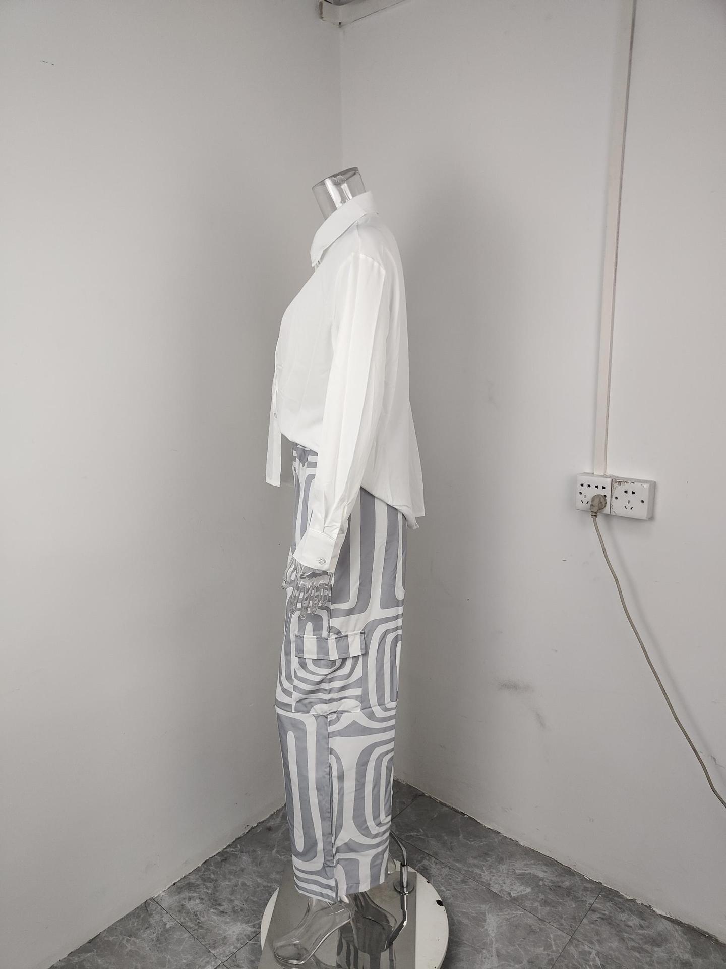 2026 New Spring Women's Clothing European And American Cross-Border Fashion Suit Commuting Simple V-Neck Printed Long_ecoleips.com