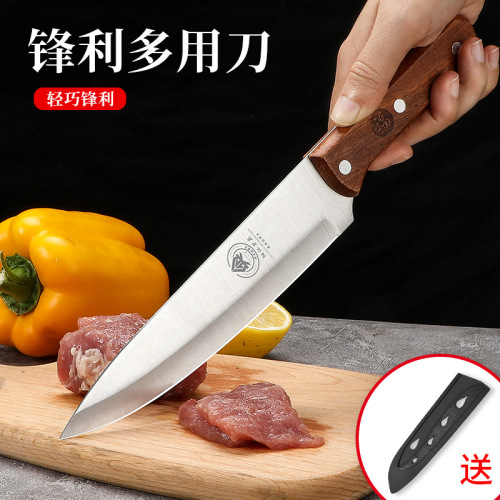 Wholesale stainless steel fruit knife for foreign trade, dormitory and household peeling knife, watermelon cutting kitchen utensils, vegetable cutting, drop shipping