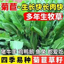 ���~���ĲݷN�Ѷ��������ݷN���Bֳ�ļ�ţ�����Z���i���������