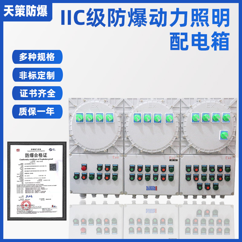 多回路照明动力配电箱防爆防腐配电箱 防爆配电箱 防爆仪表控制箱|ru