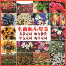 ûNӽMϴlWƼͥ@ˇͥԺ̨SСbѻ