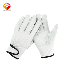 ţƤ˾�C�������ׄڱ��@ˇ��ĥ�����ڄ����I���o���ڹ��I��������