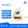 rca高涨音视频定制插头