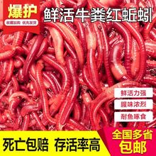 С򾡿wa~ҰD~̖txɢbt