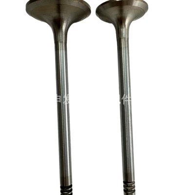 170899, Valves and components