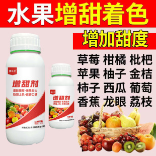 �Ϲ�������������ݮ�����������ӷ����O�����ϗ�÷���Ӹ���������