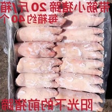 冷冻新鲜带筋小香猪爪前猪蹄生猪手烧烤净重20斤/约33-40个批商用