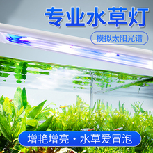 �~��led���������ȫ���Vˮ�ݟ�С��֧�܊A��׃ɫ���GϪ���ݸן�