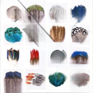 �lС��ë֧�ֹ��Ʒ���Ұ�uë��ë��؈����䁉��W��ȸ�{Ƭ