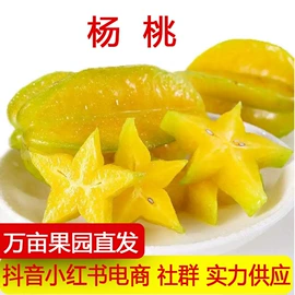 柑桔;其他水果;梨