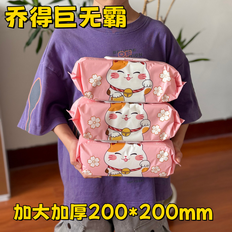 Qiao De Extra Large Thickened Wet Wipes for Hands and Mouth, 80 Sheets, Extra Large Pack for Babies and Children, Household Family Pack