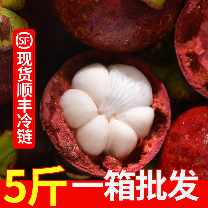 Shunfeng Cold Chain Mangosteen 1-5 Pounds of fruit 3-6A fresh fruit Season One box Trade price