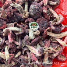 ��ϼt����؛Ұ���ؼ��{�����ڼt�����ӼtĢ���t׵���Ǹ������l