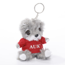 ӆ��ӆ��ë�q��� ����ë�qС������ �ɐ�ë�q耳׿ہ�D����