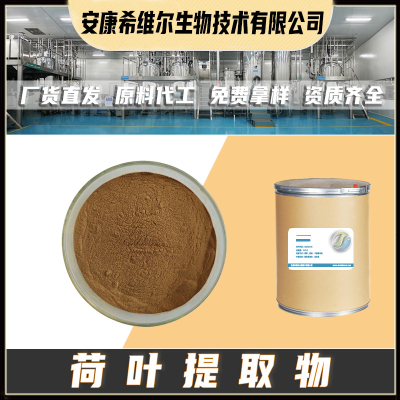 荷叶提取物 荷叶碱2%  现货供应 水溶性荷叶碱原料  包邮