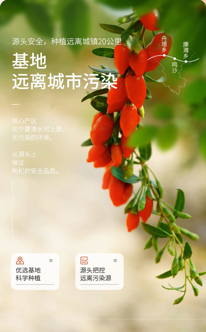 Ningxia Goji Berries 250g Premium Grade Unsulfured Dried Wolfberry Fruit Ready to Eat in use