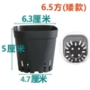 Black (6.5, short)