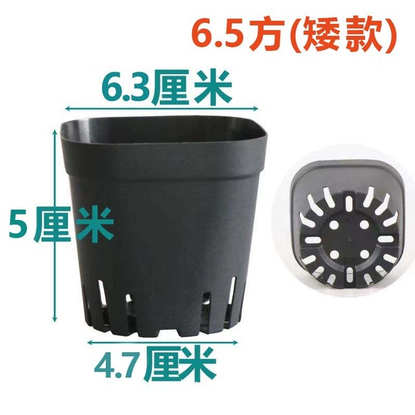 Multisani seedling pot small black side 5.5 square style of black…