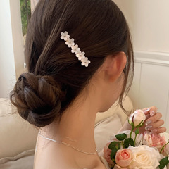 春の桜の花のサイドに前髪を挟んで女性を挟みます。