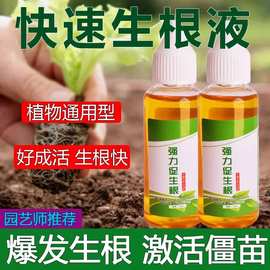 生根液通用扦插营养液壮苗生根剂水培花卉绿植促生根生长水溶速效