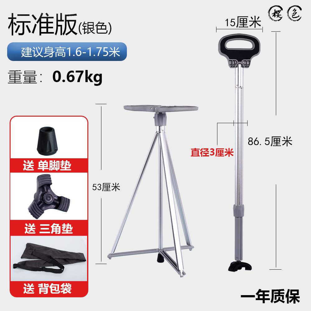 야외 트레킹 폴(실버)