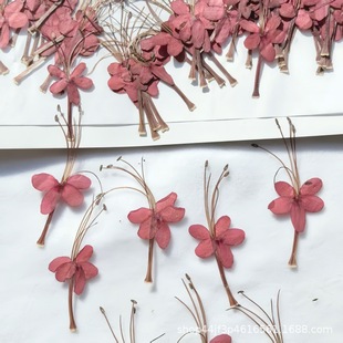 Butterfly Flower Dried Flower Embossed Natural Plant Specimen Glue Handmade DIY Bookmark Greeting Card Postcard Embossed Painting