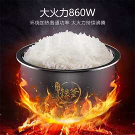 适用九.阳电饭煲F-40TD02新款家用智能预约4L大容量铁釜内胆电饭