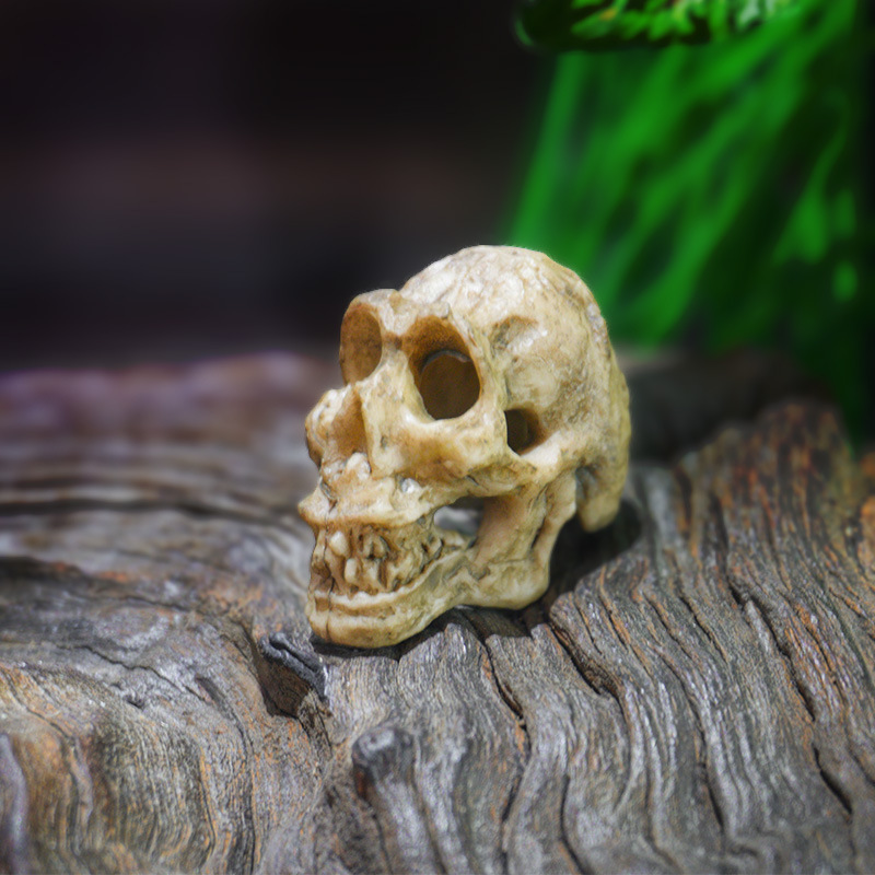 Nueva Decoración Creativa para Peceras con Calaveras de Oveja y Tiburón, Adornos Artesanales, Reliquias de Tiranosaurio Rex