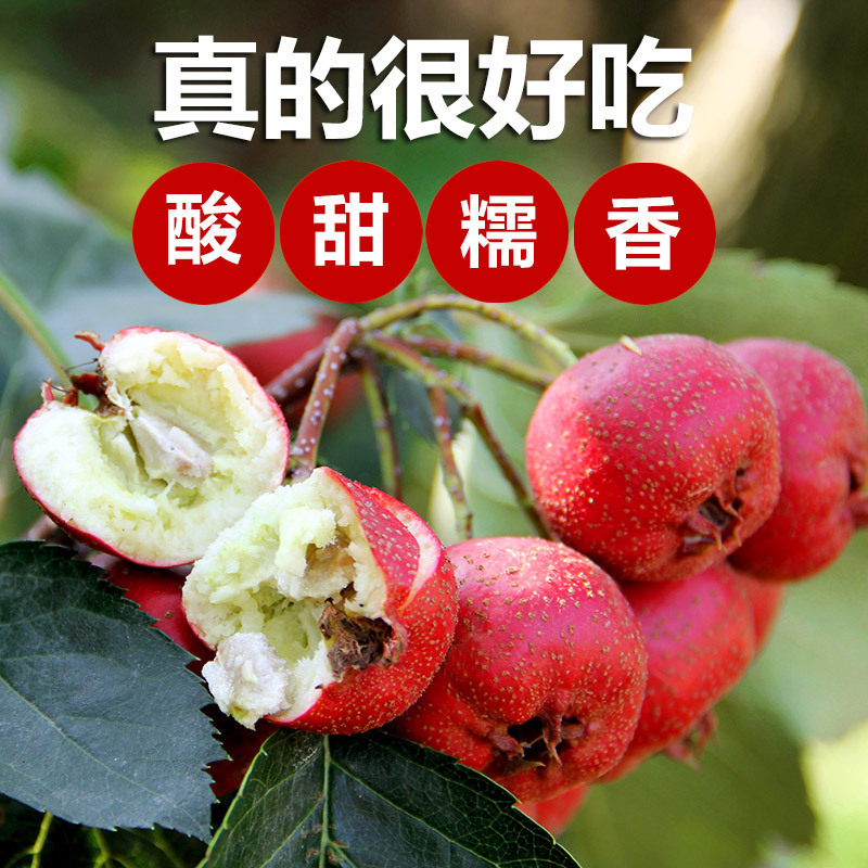 Hawthorn Fresh fruit Fresh fruit Fresh fruit Large wholesale Shan Lihong fruit Candied fruit Farm On behalf of Amazon