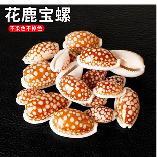 ��¹������Ȼ�˱������ղ�ؐ���~�����쾰�b��к��Ҿ�ϵ�Д[��