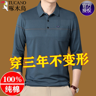 ��ľ�B���|�L��t������ڴ����ɰְ��b������POLO���l�y�ω�