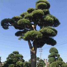 �e��ͥԺӭ�������l б�h�Rˮ�ձ��_�h�ɘ�r�� ���a�����_�h��